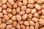 children and food allergies