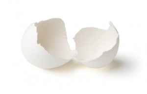Empty, Hatched Eggshell