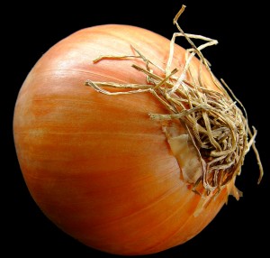 onion-1328566-1919x1832