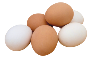 egg_PNG25