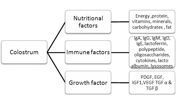 vol1no1_Meena_COLOSTRUM_fig1