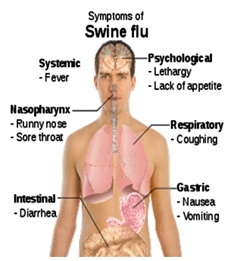 swine-flu-symptoms